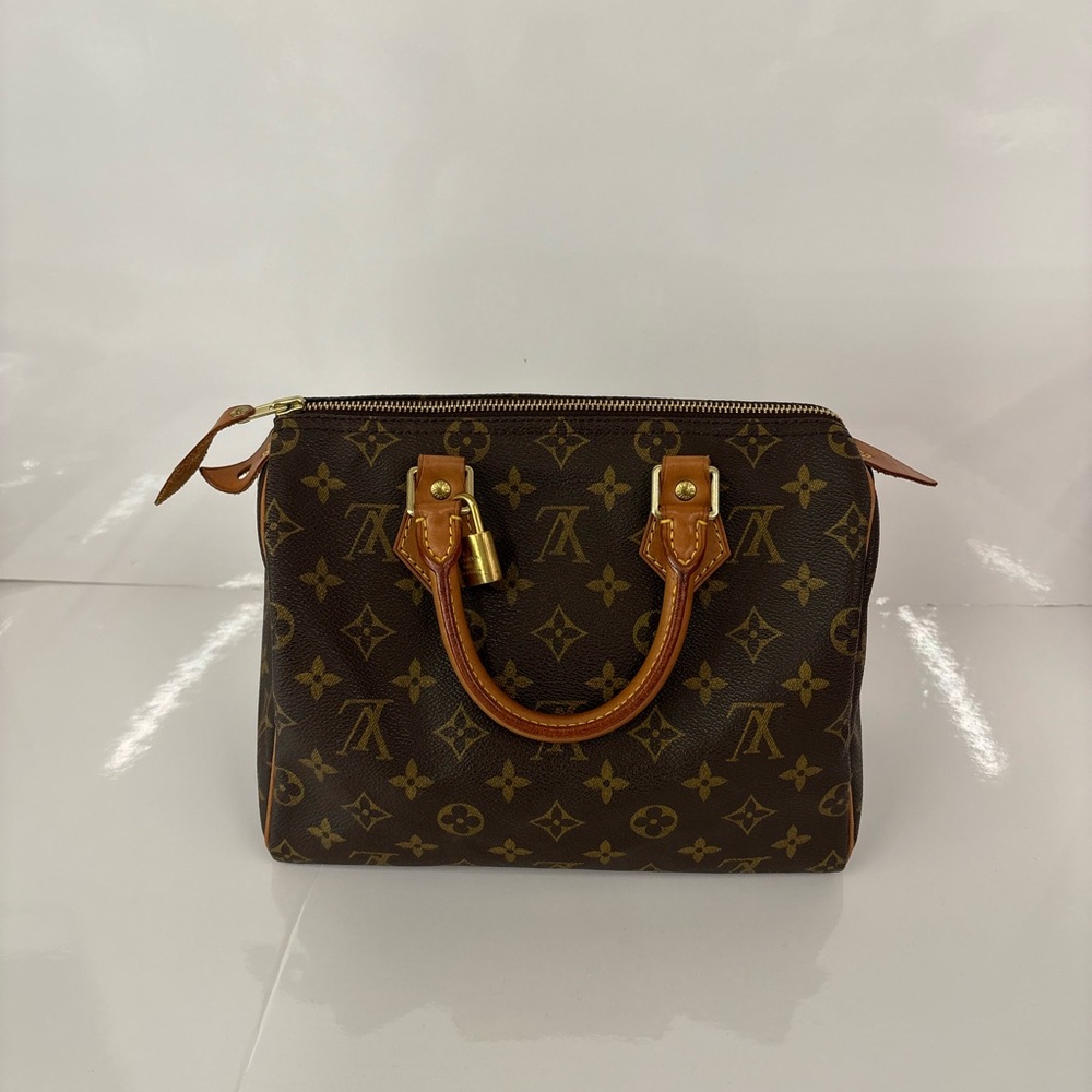 Louis Vuitton Speedy bag